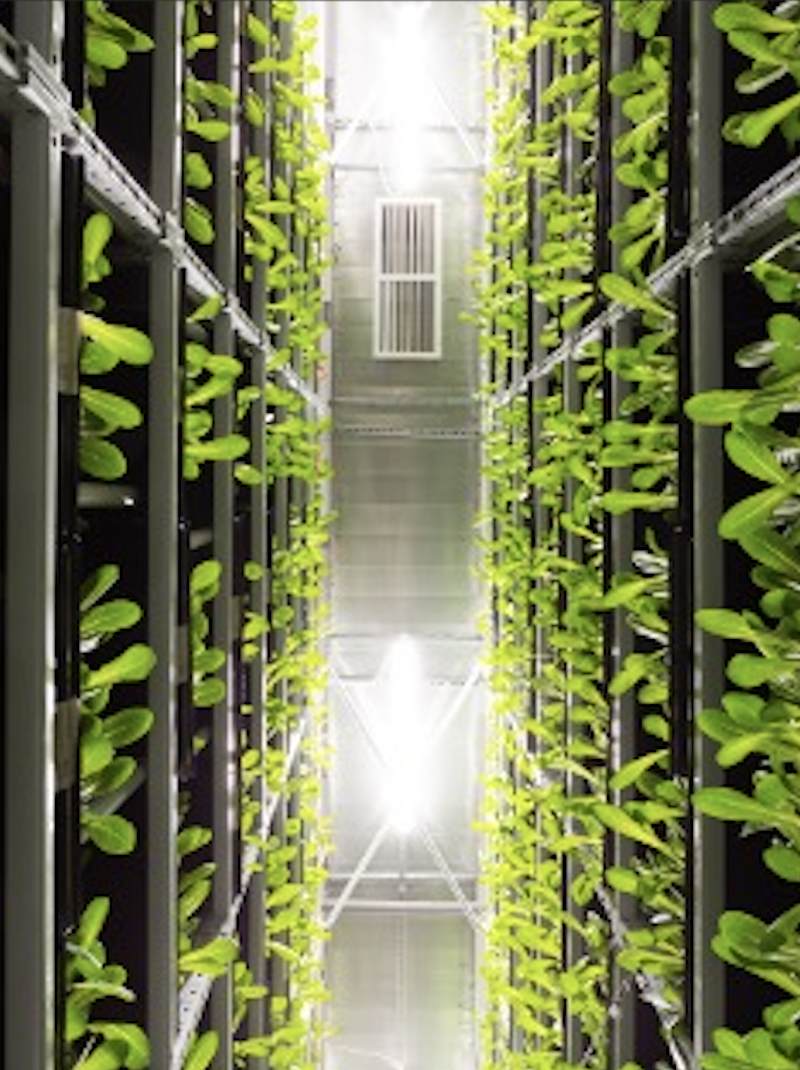 Green Data Centre
